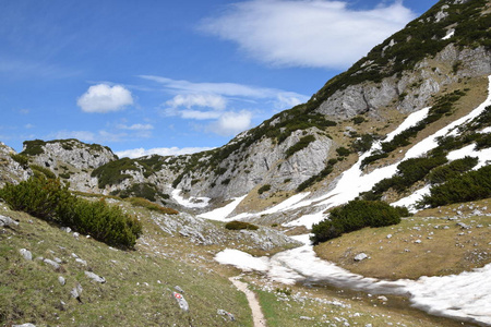 杜尔米托尔国家公园。山, 近 Bobotov 局。黑山