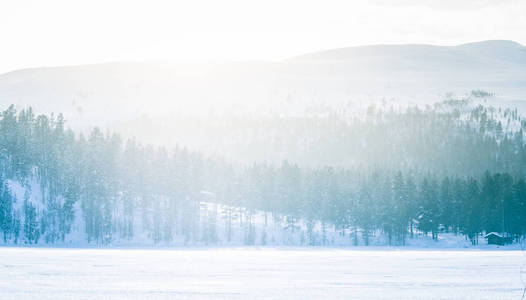 挪威中部一个冰冻湖的美丽极简主义景观。有树木的广阔雪域。