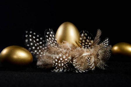 金鸟巢在真正的鸟巢黑色背景下创造性地点燃了金鹅蛋照片