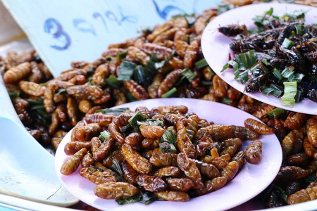 在街边食物油炸昆虫