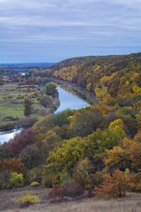 河流和森林在秋天。垂直框架