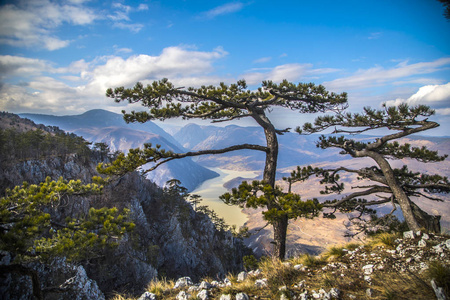 在塞尔维亚西部塔拉山斯泰纳在塞尔维亚西部塔拉山。塞尔维亚Drina河的Canyon是世界上第三个最深的峡谷，观点班杰卡岩石在国家