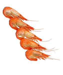 熟虎虾图片-熟虎虾素材-熟虎虾插画-摄图新视界