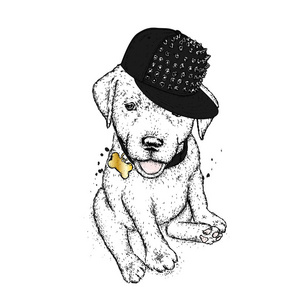 小狗戴着帽子。 明信片或衣服海报打印的矢量插图。 可爱的狗。 拉布拉多。 衣服和配饰。