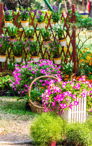 夏日温馨的家花花园图片