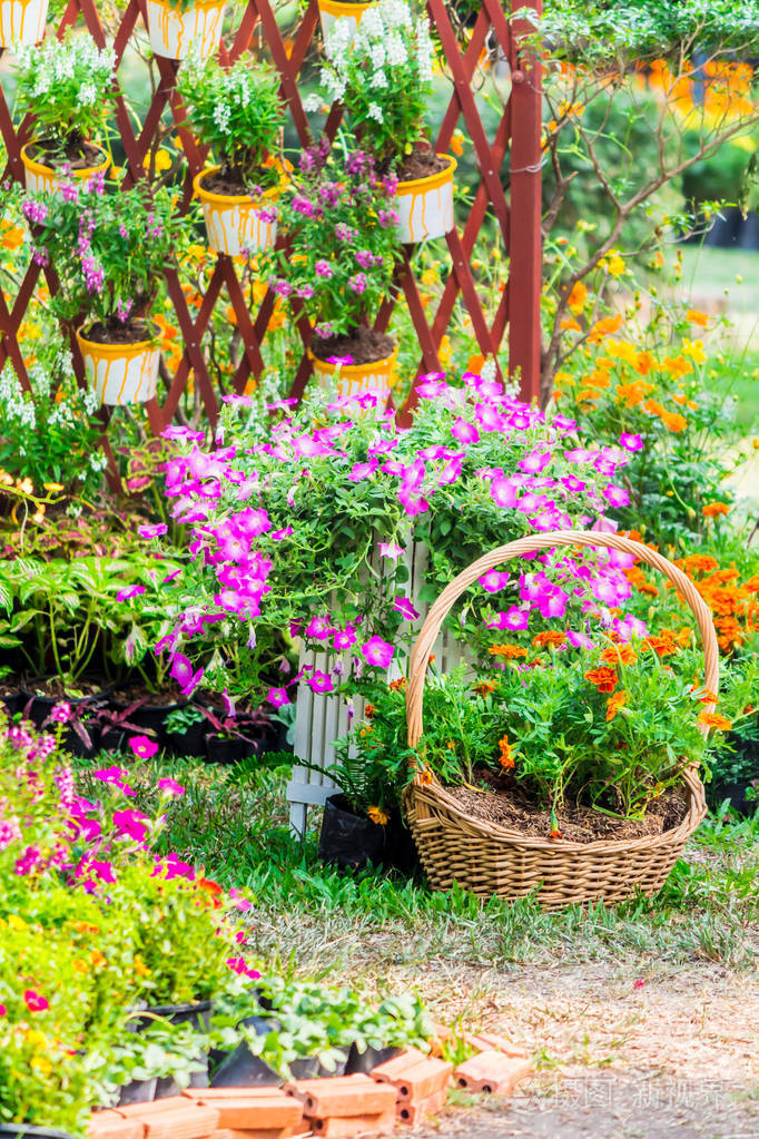 夏日温馨的家花花园