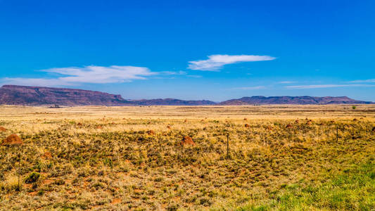 南非自由州和东开普省的半沙漠卡鲁地区在蓝天下无尽的开阔景观