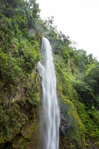 哥斯达黎加的热带瀑布