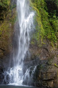 哥斯达黎加的热带瀑布