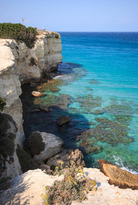 Orso  Salento, Puglia