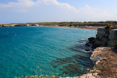 Orso  Salento, Puglia