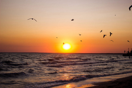 令人惊叹的夏季日落在海滩上照片