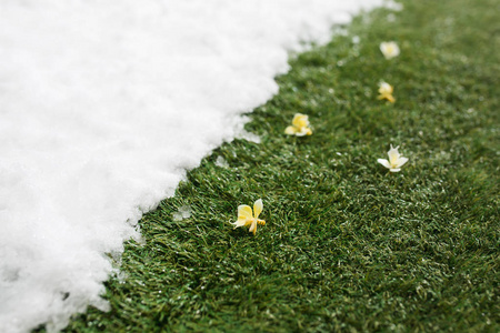 在冬季和春季的概念背景下, 在绿色草地上相遇雪