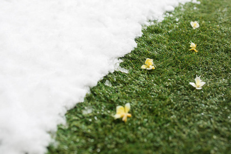 在冬季和春季的概念背景下, 在绿色草地上相遇雪