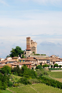 葡萄园的 Langhe 山，皮埃蒙特意大利