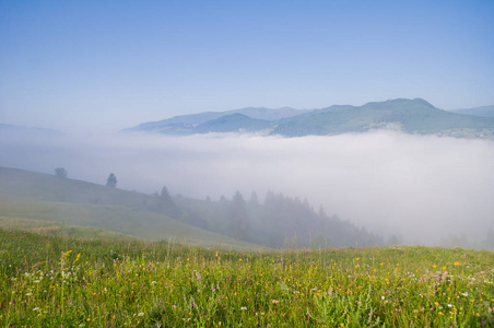 山谷中的晨雾。夏天山风景