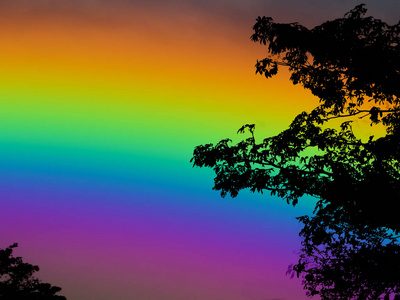 彩虹天空背面剪影干棕榈树