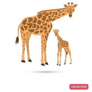 Giraaffe 和幼崽颜色平面图标