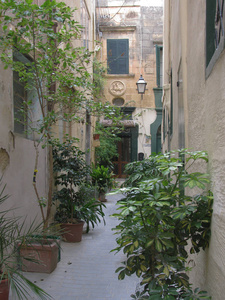 马耳他。 城里人住的狭窄街道上的花。