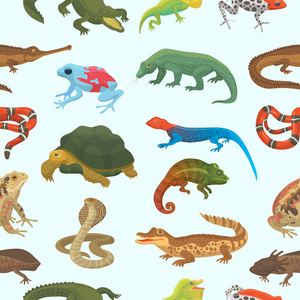 矢量爬行动物自然蜥蜴动物野生动物野生变色龙, 蛇, 龟, 鳄鱼的爬行动物背景绿色两栖动物无缝模式背景图