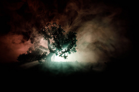 晚上在森林里有鬼魂的老房子, 或者在大雾中遗弃了闹鬼的恐怖屋。老神秘建筑在死树森林。树在晚上与月亮。超现实主义灯
