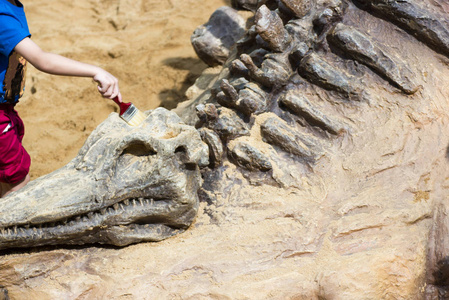 在沙中挖掘恐龙化石模拟器进行教育和学习照片