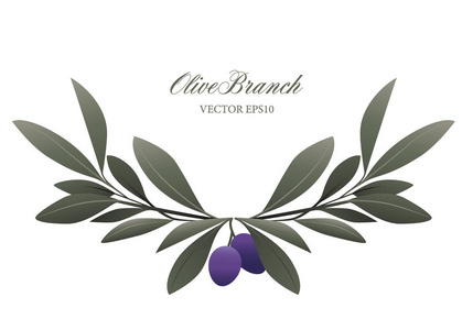 橄榄枝边框图片