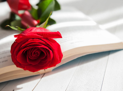 玫瑰和书言情爱