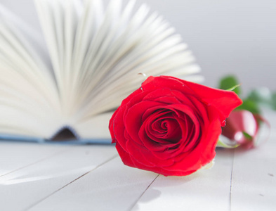 玫瑰和书言情爱图片