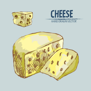 数字矢量详细线艺术切片奶酪