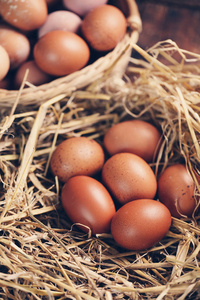 鸡蛋在巢, 有色