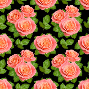 无缝的背景与粉红色的玫瑰。孤立的黑色背景