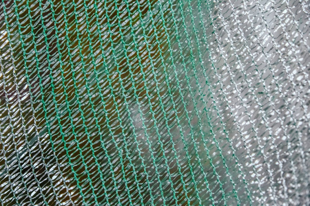 绿色塑料网络纹理背景
