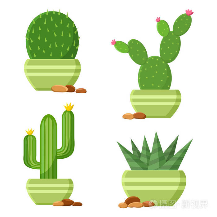 开花仙人掌. 卡通家庭植物. 矢量插图