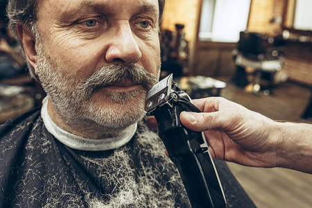 特写侧面视图英俊的高级胡子白种人的肖像在现代理发店的胡子梳理