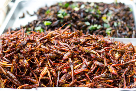 油炸昆虫蝗虫昆虫脆泰国食品在街头食品市场。 可在市场上买到