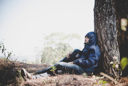 秃鹰坐在一棵树图片