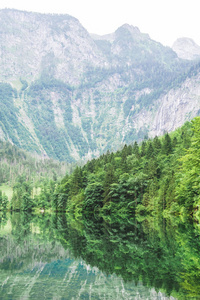 伟大的夏日全景欧伯湖湖。绿色早晨场面瑞士阿尔卑斯, Nafels 村庄位置, 瑞士, 欧洲。自然美的概念背景