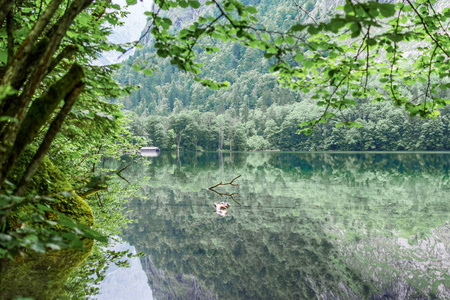 伟大的夏日全景欧伯湖湖。绿色早晨场面瑞士阿尔卑斯, Nafels 村庄位置, 瑞士, 欧洲。自然美的概念背景