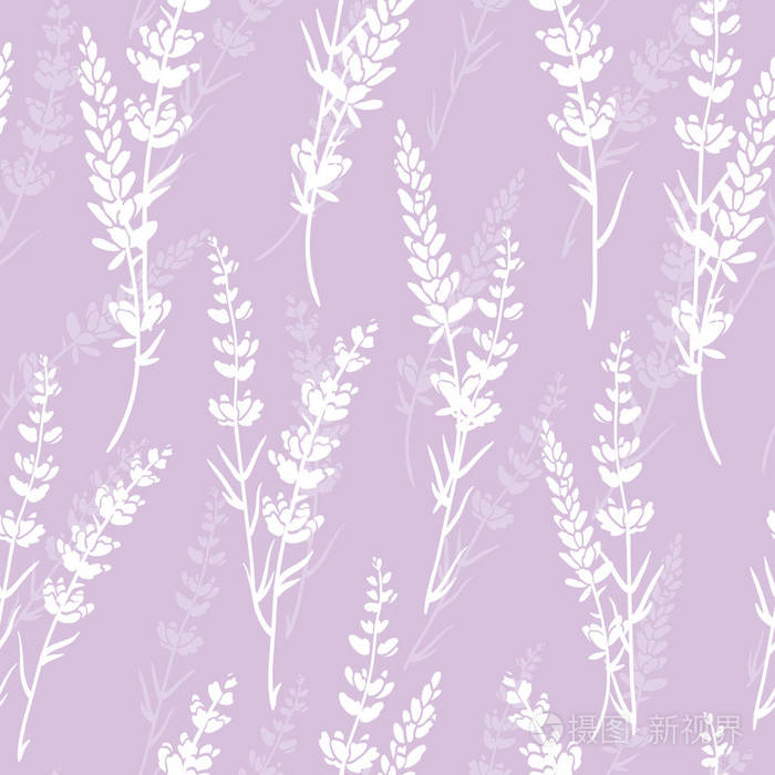 矢量薰衣草花淡紫色剪影无缝图案.美丽的紫色薰衣草复古背景.