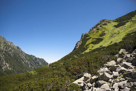 五个池塘塔特拉山谷的景色。 追踪到海眼。 山谷里的山屋。 五个令人叹为观止的高山湖泊在高高的纹身。