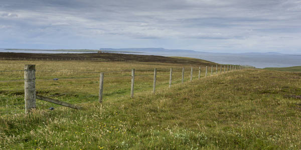  Groats, Caithness, Scottish Highlands, Scotland