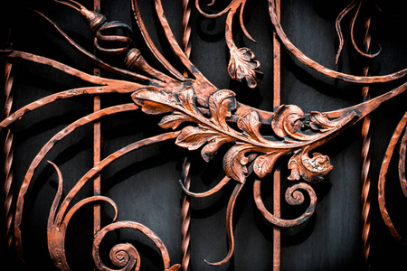 锻造铁门的细节结构和装饰。花卉12月