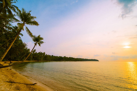 美丽的天堂海岛与海滩和海在椰子棕榈附近