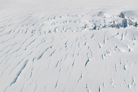 雪白地狐冰河自然冬季背景