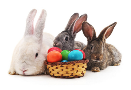 复活节兔子与色的蛋图片