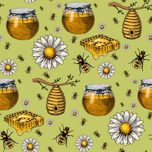 蜂房蜜蜂矢量甘菊手画复古蜂蜜制作农民养蜂插画自然产品无缝模式背景