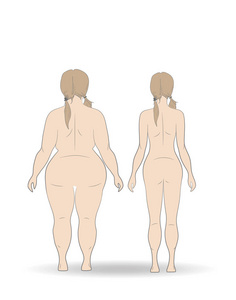 矢量插图卡通妇女减肥。 又胖又苗条的女孩。 女性减肥前后的饮食和健身。 比较运动女孩和丰满的女人。 越来越瘦的女士。 平的风格。