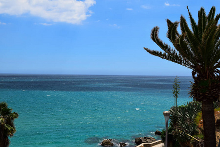 海滩岩石和棕榈树的海景。