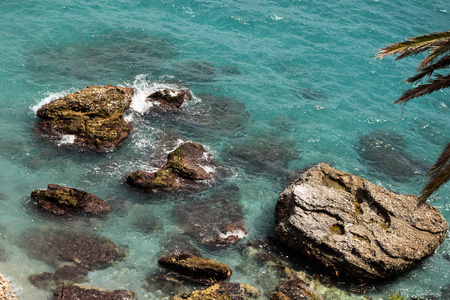 海滩岩石和棕榈树的海景。